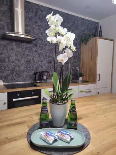 Apartament Pod Orzechem