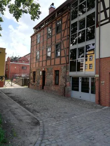 Apartament pod Starym Dębem