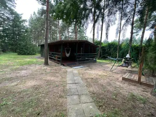 Sosnowy Zakątek