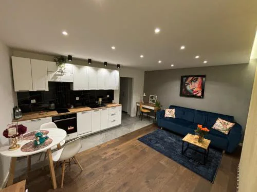 Apartament Art Premium Toruń
