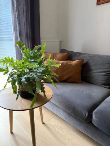 Apartament Centro z bezpłatnym garażem