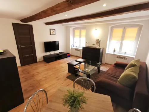 Apartament Pod Krzywą Wieżą Stare Miasto - zameldowanie 24 h