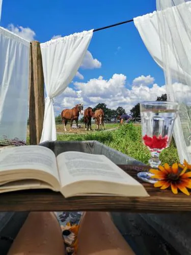 Camping Farm