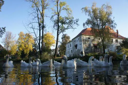 Piotrowice Nyskie Palace