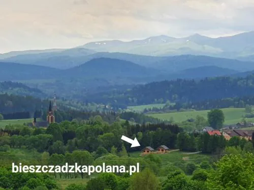 Bieszczadzka Polana - domki turystyczne/sezonowe