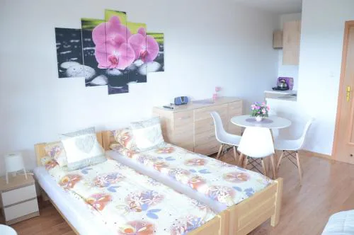 Pokoje nad Soliną 695-533-767