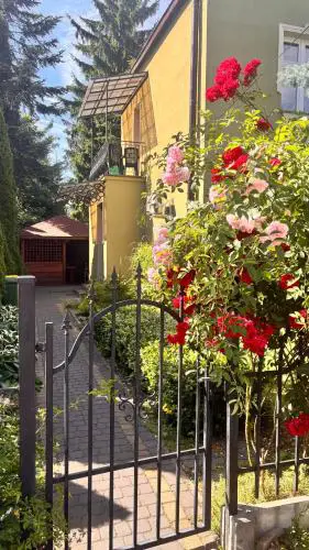 House in the City Center