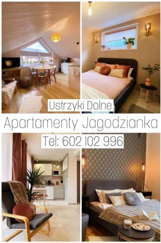 Apartamenty Jagodzianka - Jacuzzi, Sauna, Hot-bania, Tężnia