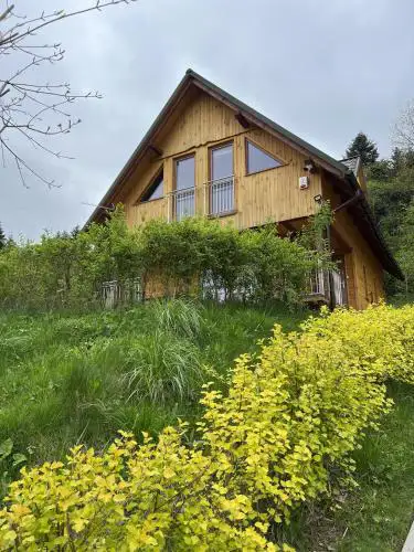 Borówka
