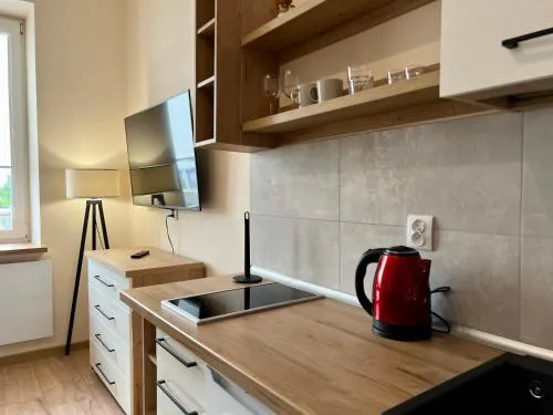 Apartament Górna 20