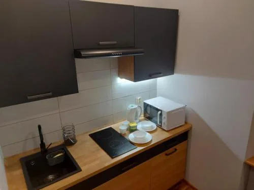Apartament przy Dworcu Fabrycznym