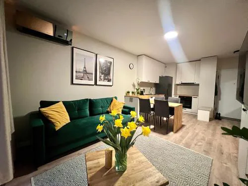 Lodz Milionowa 8 Studio z Garazem i Klimatyzacja Blisko Piotrkowskiej