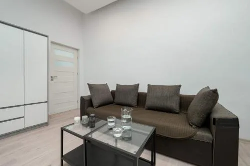 Nowomiejska Spacious Studio Near Plac Wolności in Łódź by Noclegi Renters