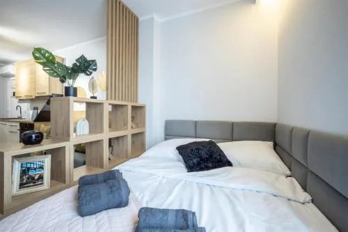 WiguryTower Apartaments 101