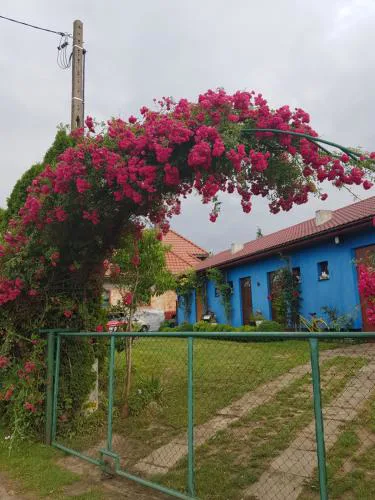 Agroturystyka Jagoda