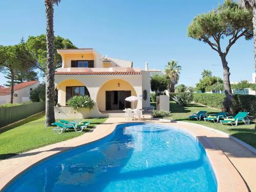 Modern villa with a private pool