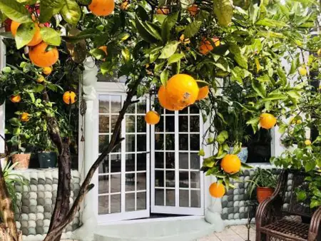 House Sleeps 4 with Private Garden