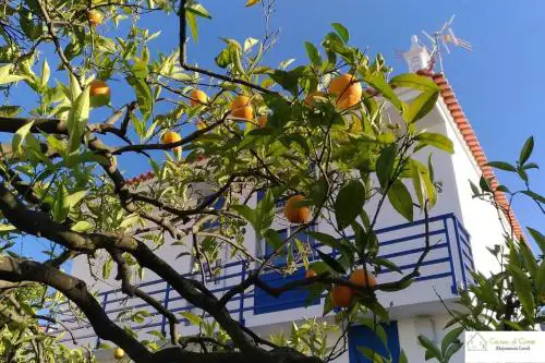 Casa D'Avó (1º Andar)