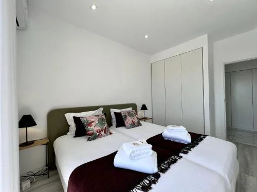 Faro Deluxe by Homing