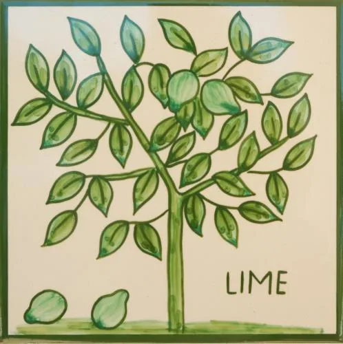 Casa Monte Cristo Apartments - Lime