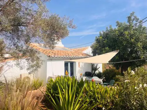Casa Cobra
