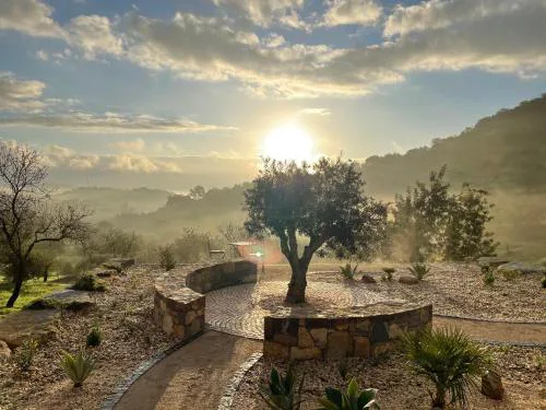 Casa Olivia - Charming renovated farmhouse with panoramic views
