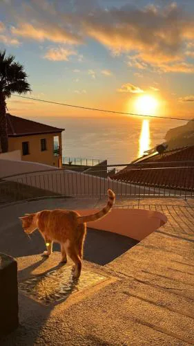 Beautiful View 1 - Arco da Calheta - Ilha da Madeira
