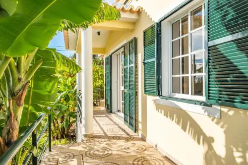 Sunny House by Homie