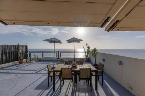 flowers island house 8 infinity