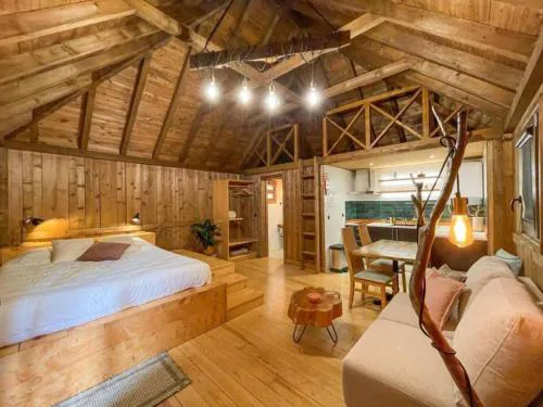 Mountain Eco Shelter 1