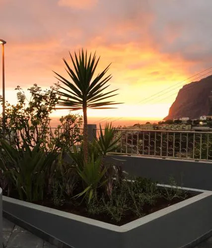 Oásis Suites - Funchal