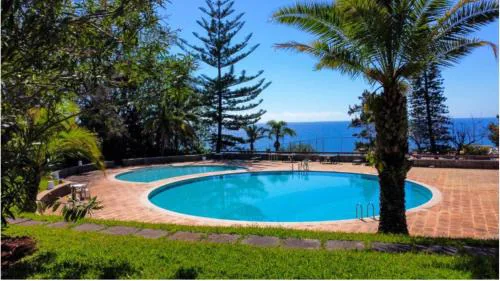 Urso Tigre Apartment by Holiday Rental Madeira