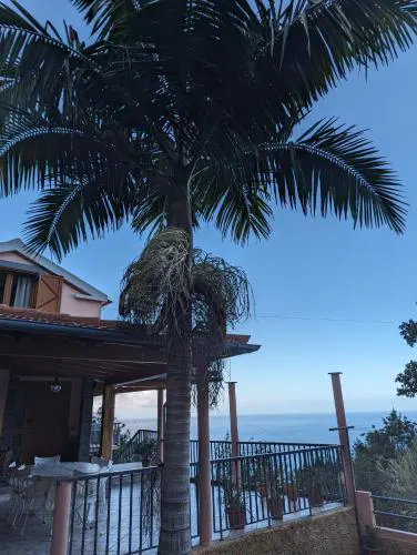 Fantatic Holiday House