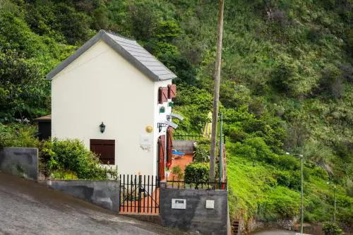 Whale's Lodge