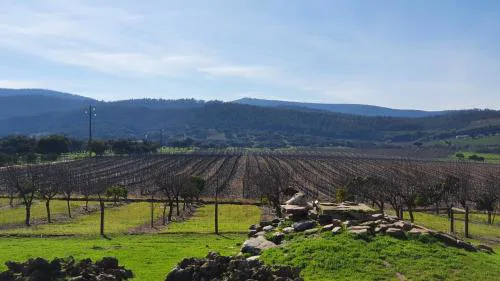 Herdade do Burrazeiro Turismo Rural no Alentejo