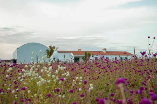 Monte de Palma- Quinta Biodinâmica Momentos Únicos