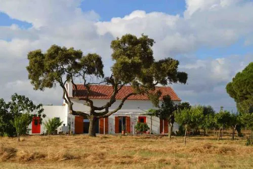 Villa - Cottage - Herdade da Fonte das Três portas
