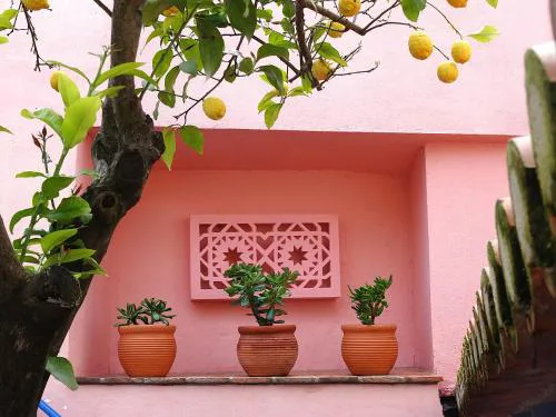 Casa do Limoeiro - sleeps up to 4 comfortably