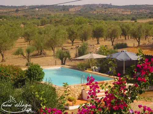 New Village