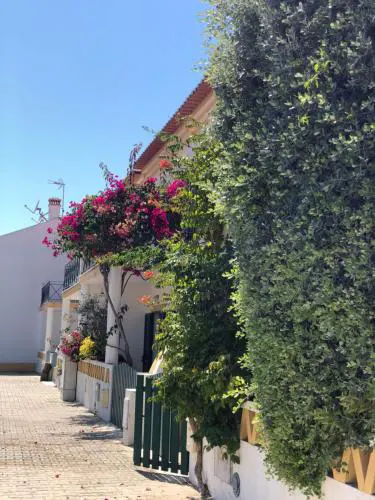 Casa da Oliveira