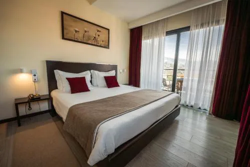Hotel Sao Pedro - Arouca