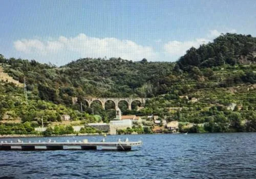 Alua Douro