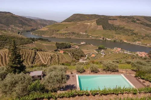 Feel Discovery Alvim's Douro