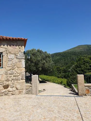 Quinta da Vinha Velha