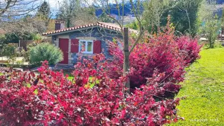 Guest House - Quinta da Giesteira quiet Country House with private outdoor spa in Penafiel, Oporto