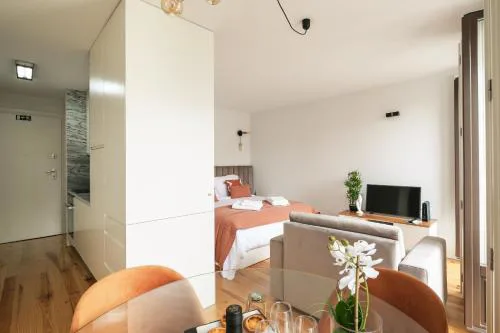 Bright Studio near Douro River - with Balcony