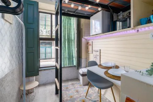 Microloft in the heart of Porto