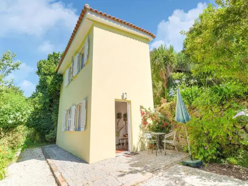 Forest Hideaway Near Douro Valley