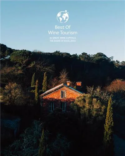 Wine Tourism - Quinta do Ameal
