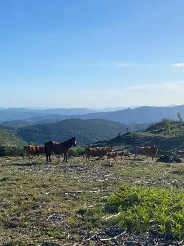 House of Serra da Cabreira